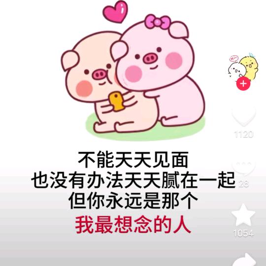 怀念