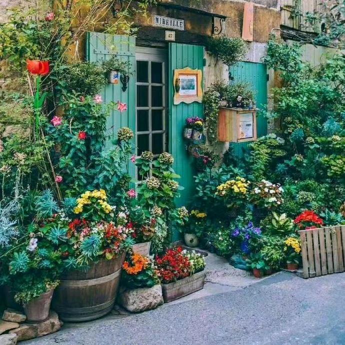 做个废柴小可爱