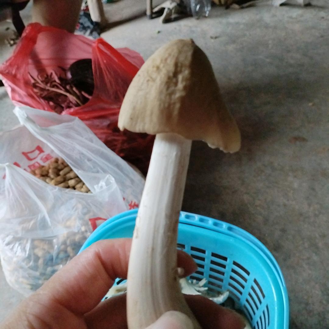 你我他