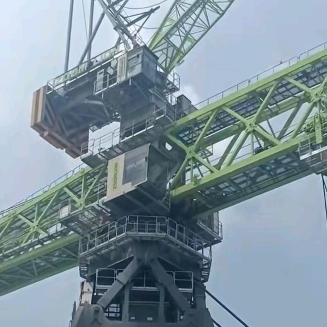 陕西秦川牛