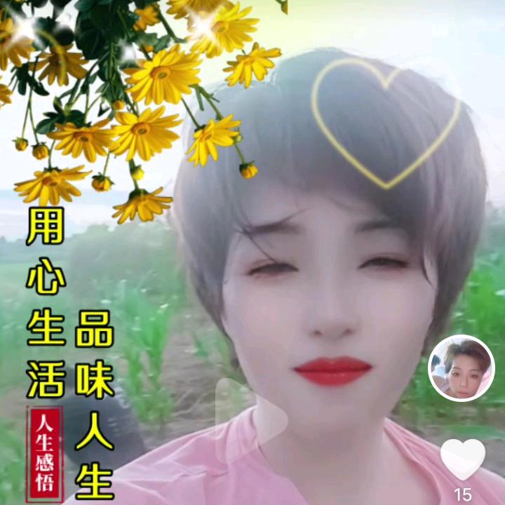 灵芝