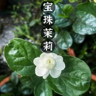 你好好过,我慢慢走