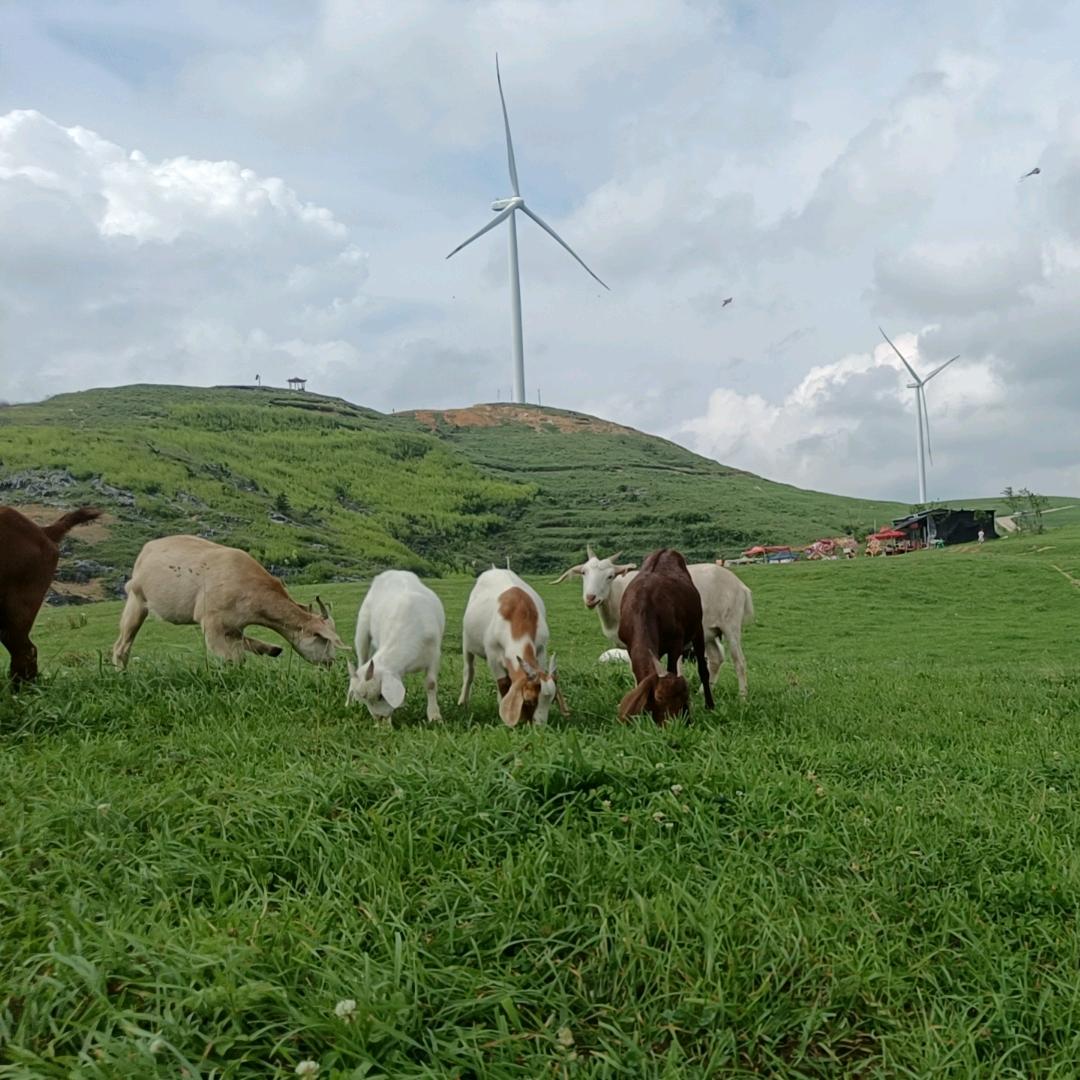 李总的快活生活