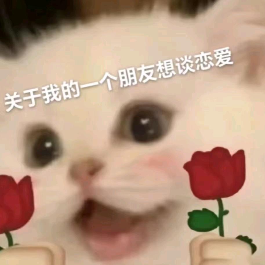 泸州小七老师牵线