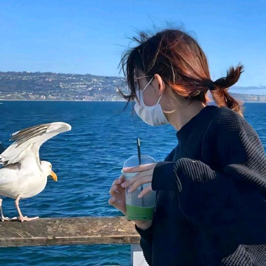 山东最亮的的星