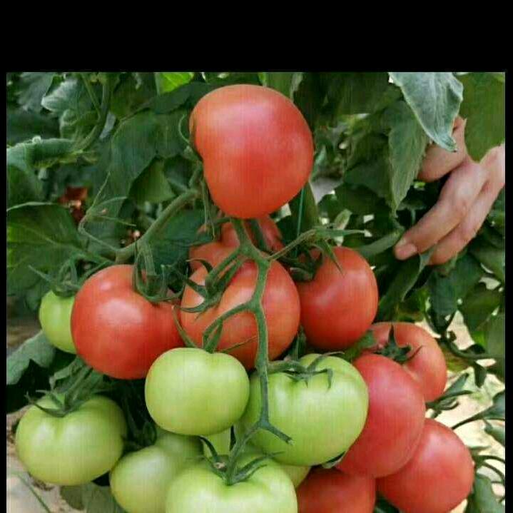 1314