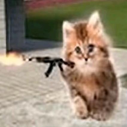 午夜大狼狗（狗东西版）