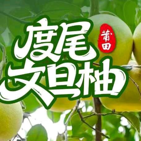 正宗度尾文旦柚精选店