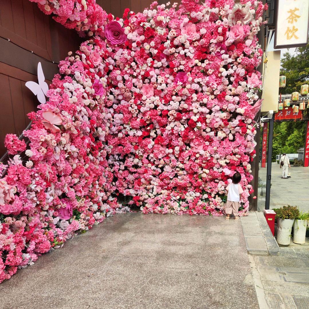 ^~^被窝哲学家^~^