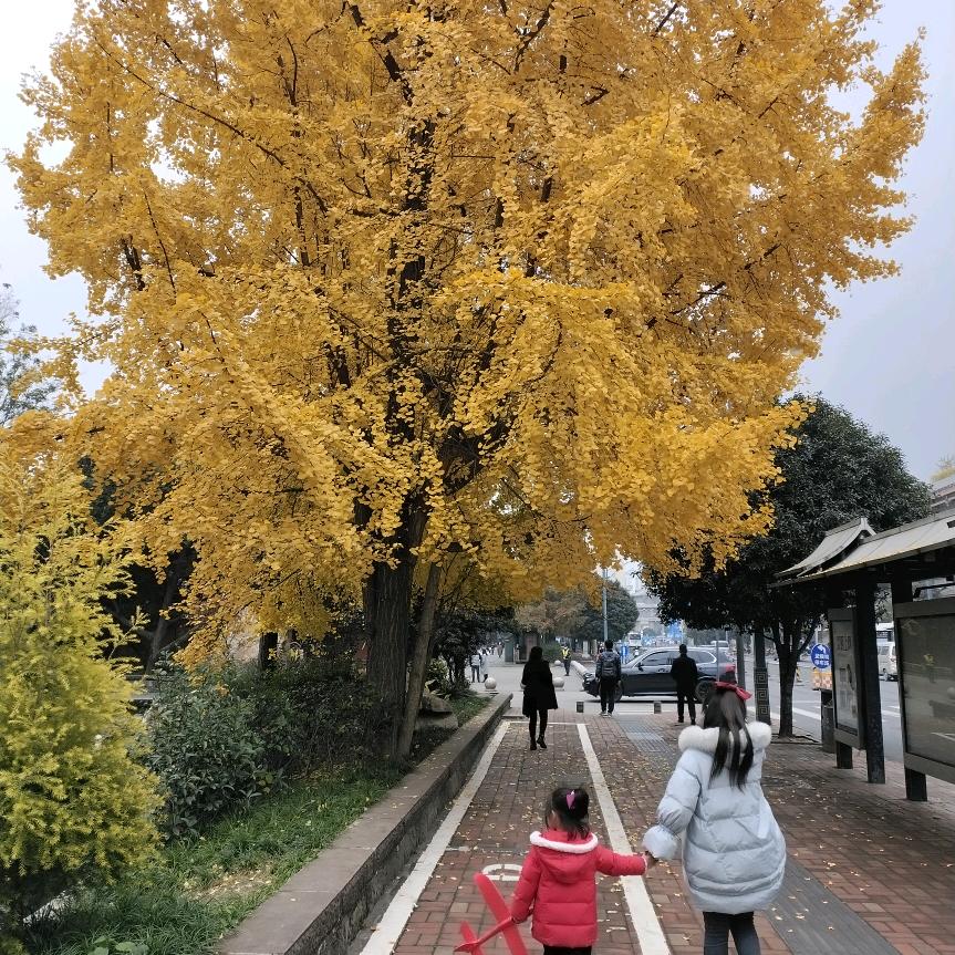 水和太阳的故事头像