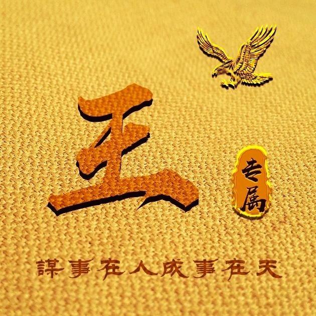 泰安汽车批发团购～王老板