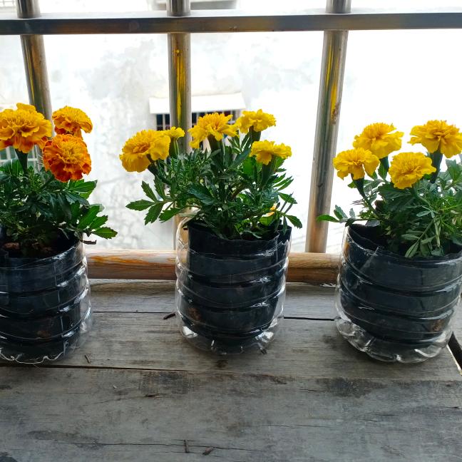 《曾》俺是农村四歌