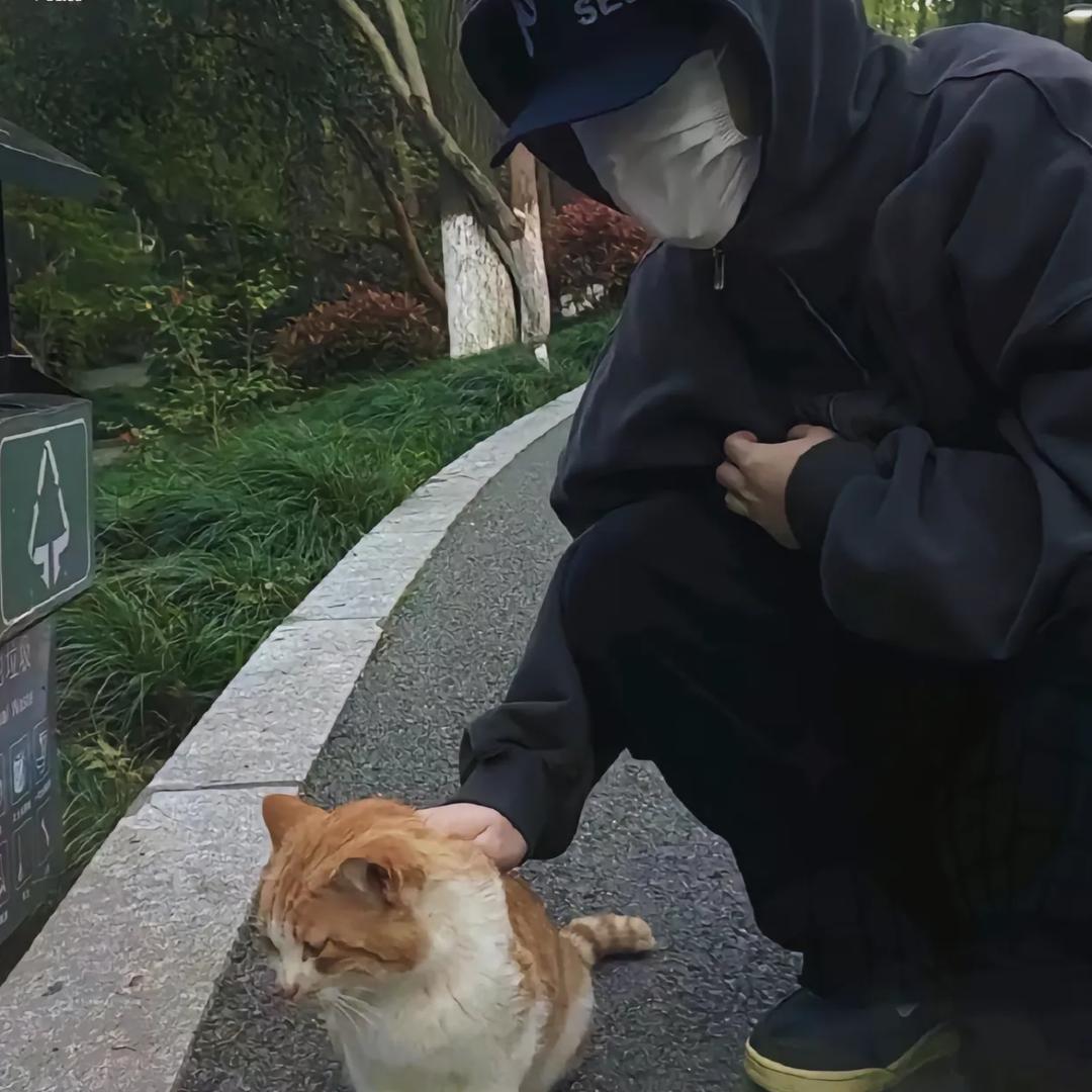 小羊奶糖~