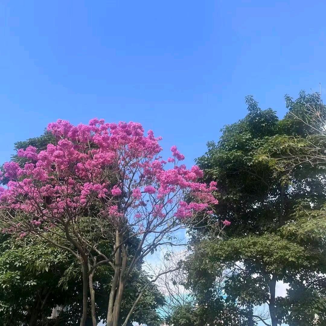 @沫沫沫