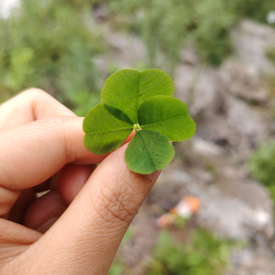 特色烤鱼  烧烤