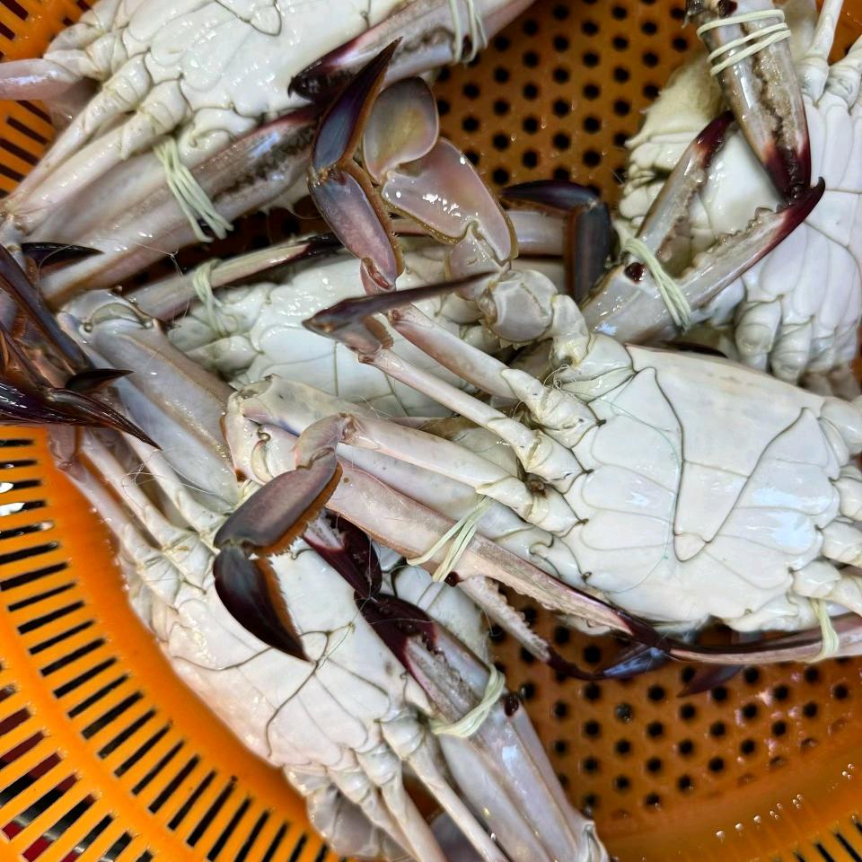 丁丁海鲜批发