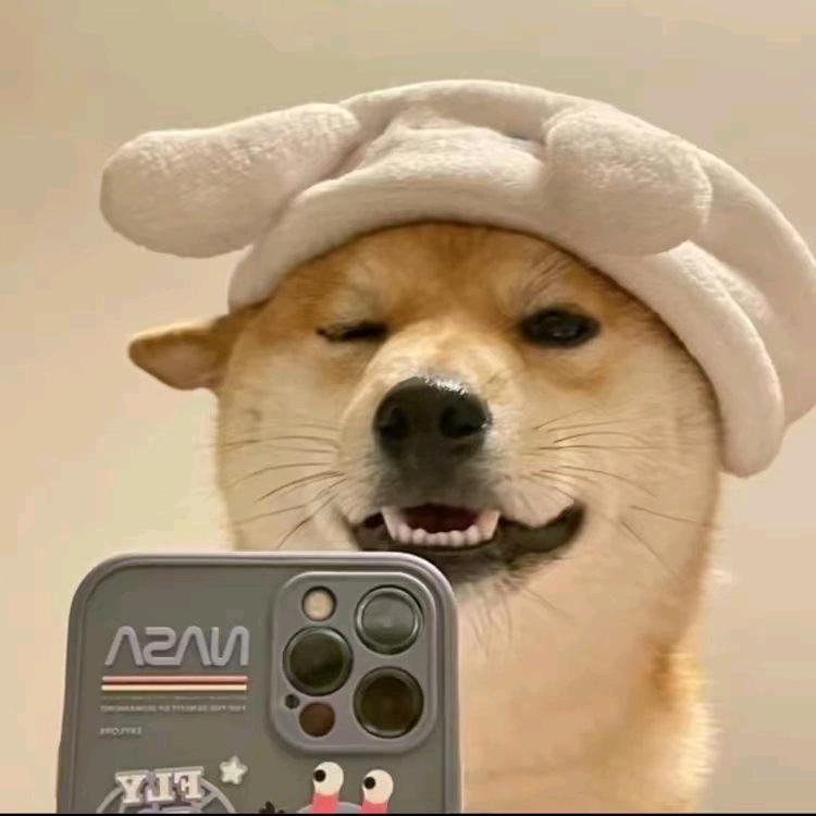 旭哥看电影