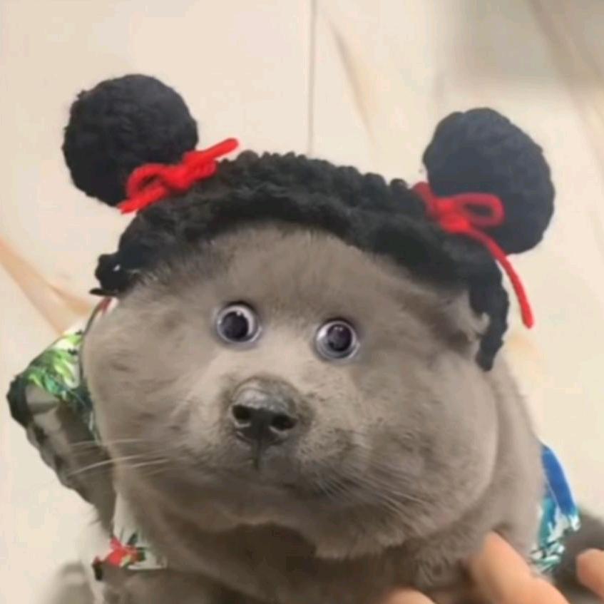 别害怕我是好人