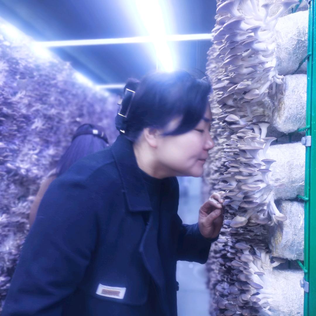 五谷丰登农家乐