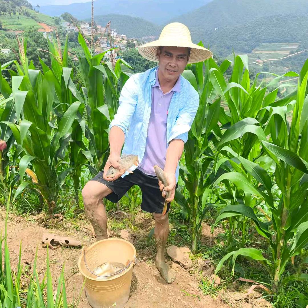 普洱牙哟
