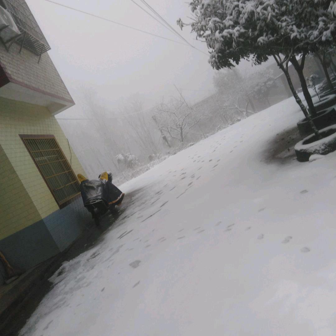 浪迹天涯（小号）