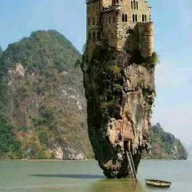 万哥杨名