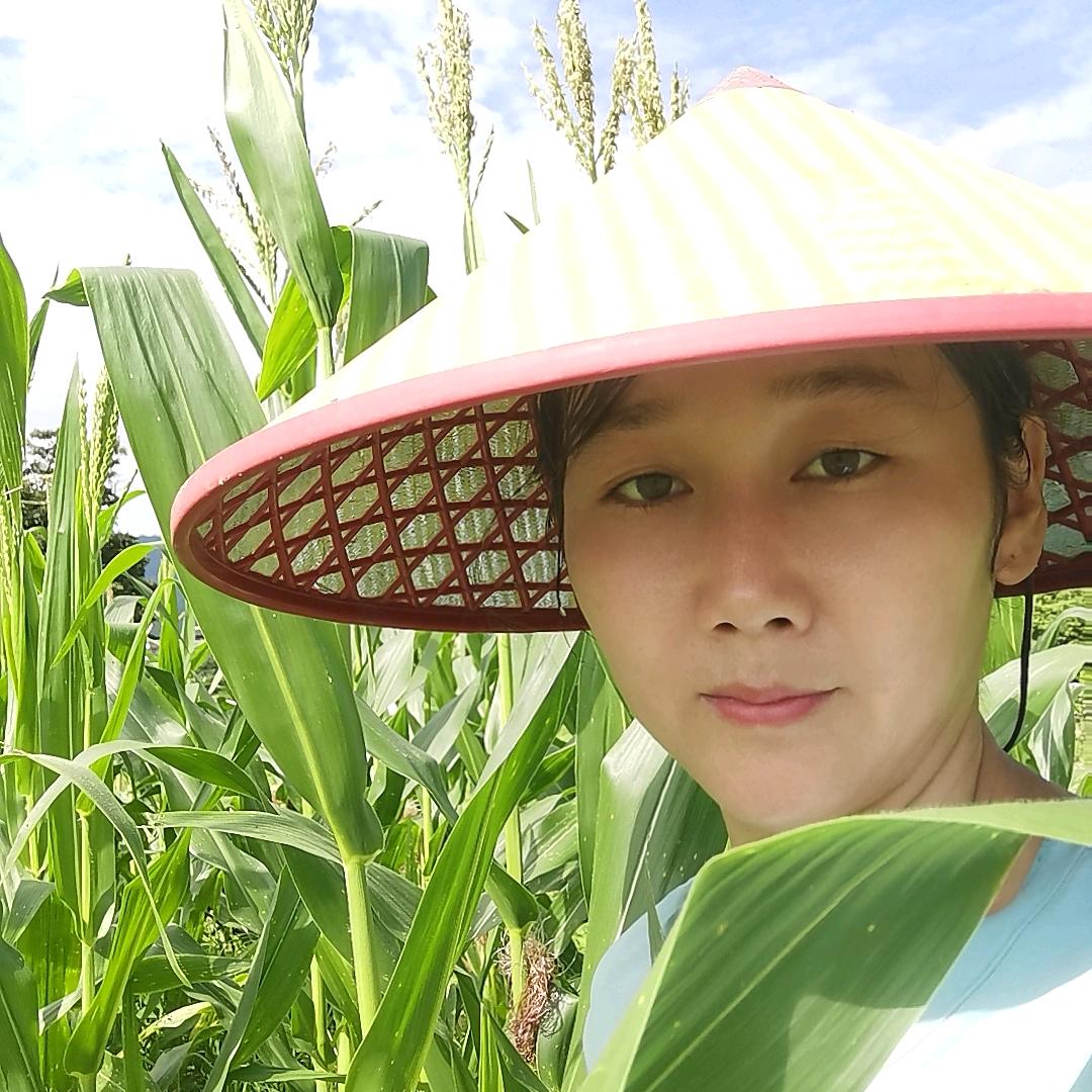 露露在广东