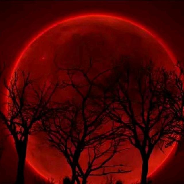 国以民为本方长治久安