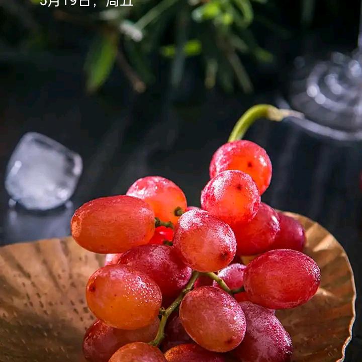 可爱的