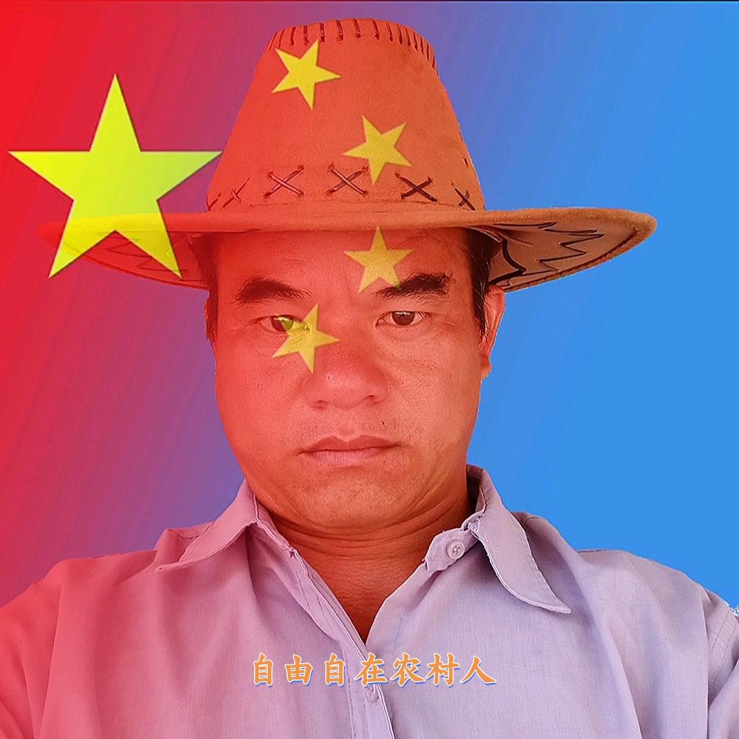 自由自在农村人