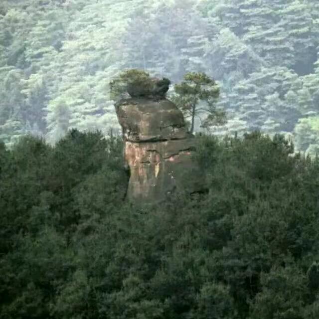 (*¯邱—76年的—🐉🐉🐉🐉︶¯