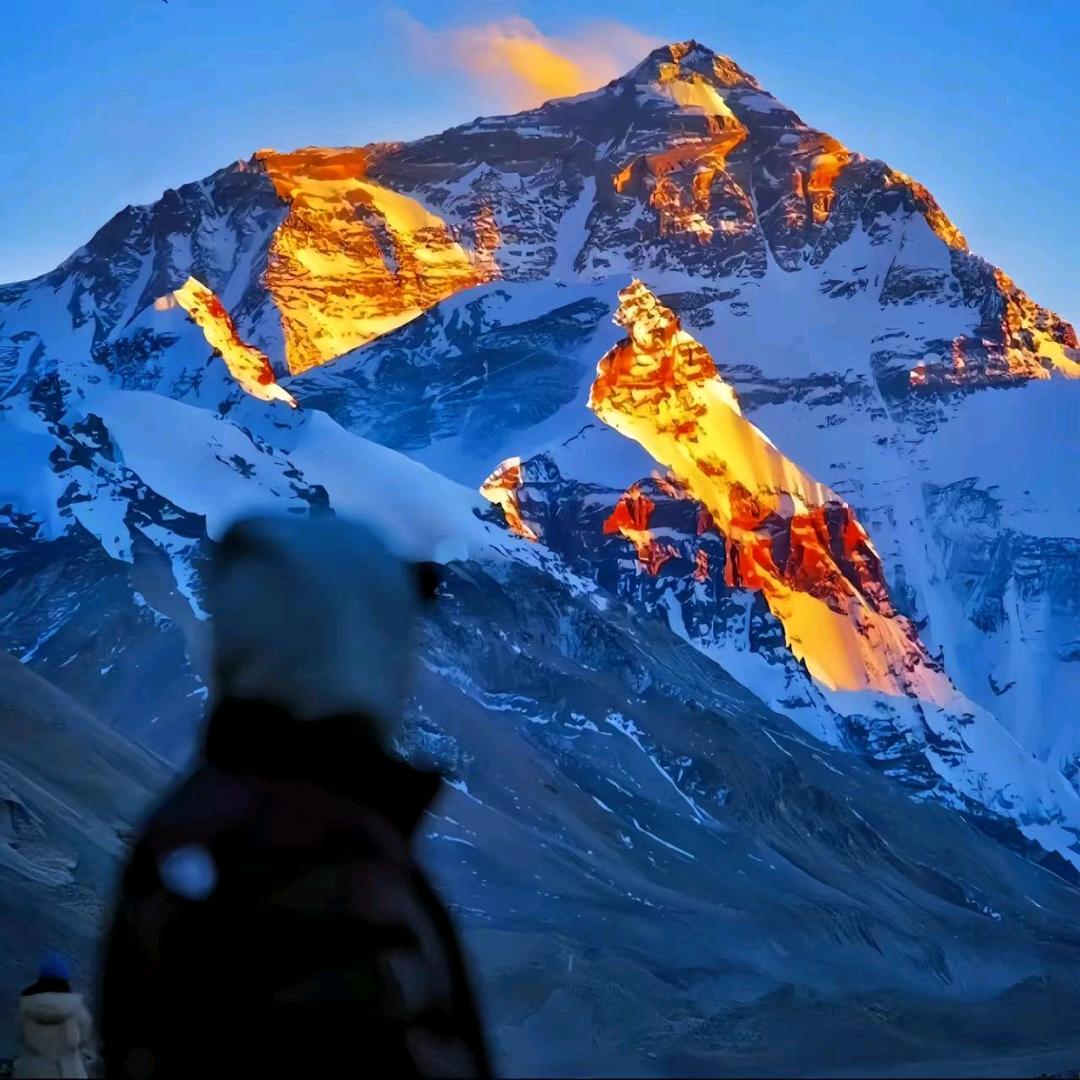 太阳🌞《自我封号中，等我解封吧。》