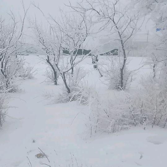 记住你