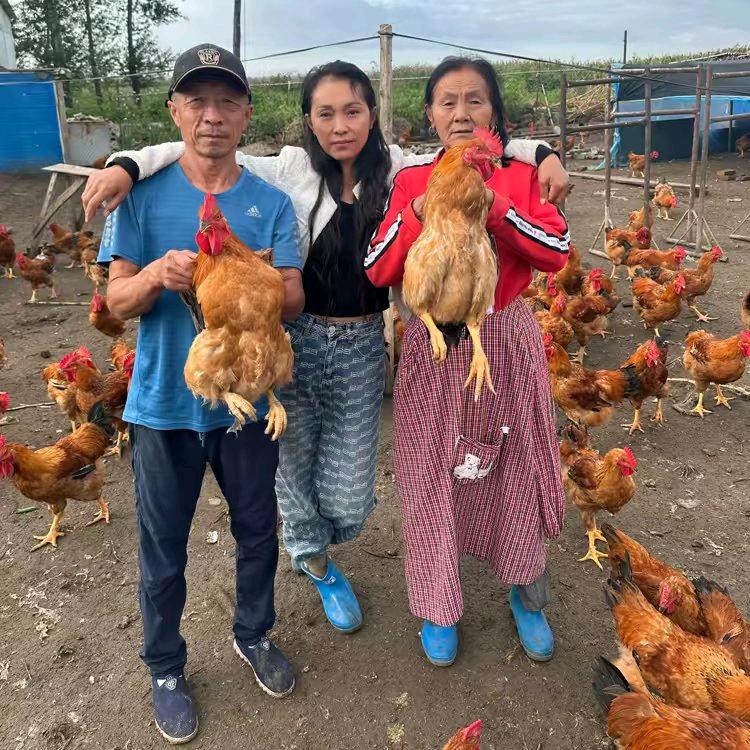 东北二姐散养溜达鸡