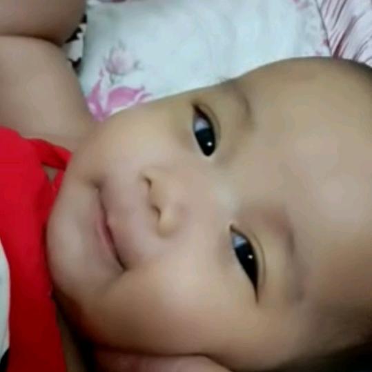 生态黄牛养殖（舒城万佛湖朱明春家庭农场）