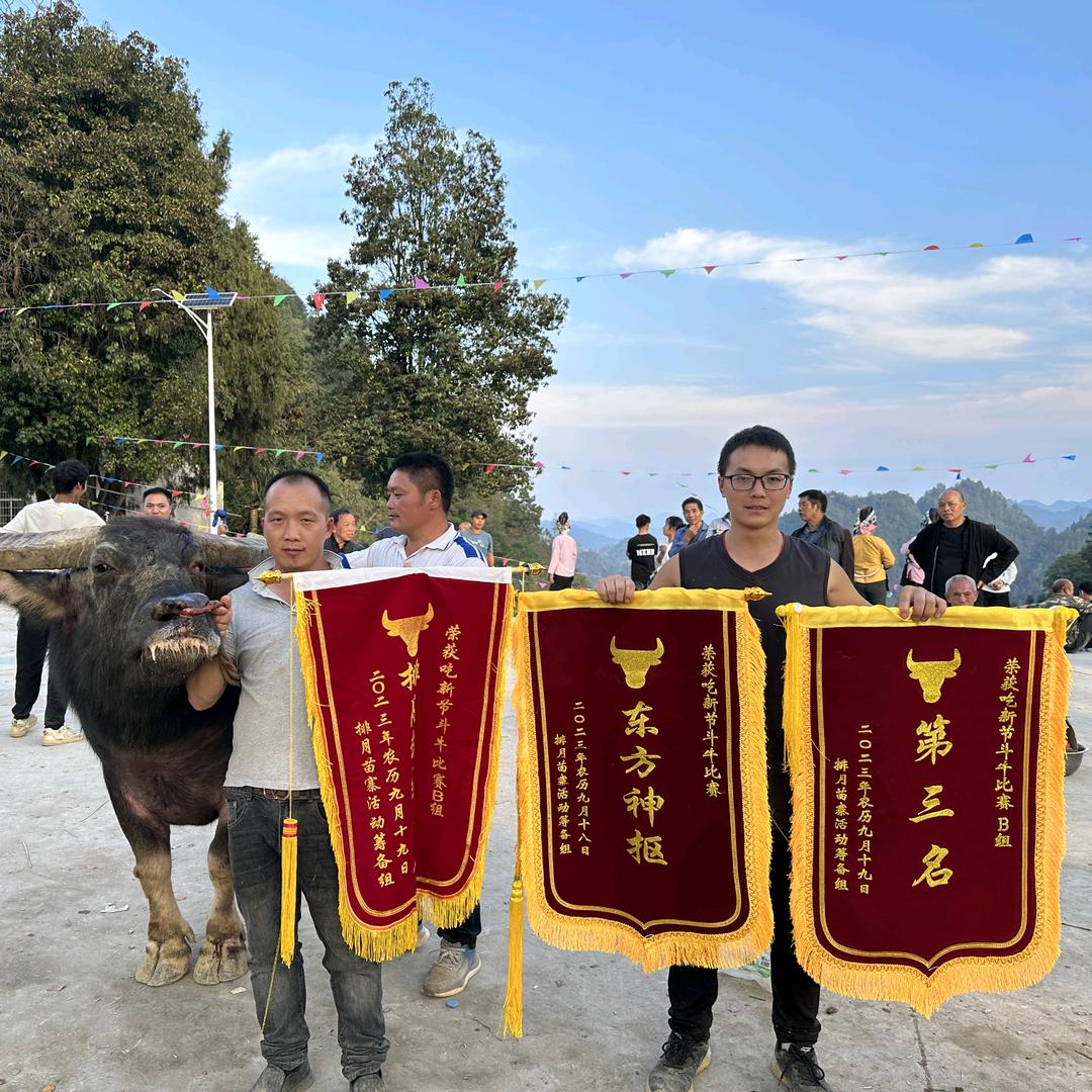 半点光