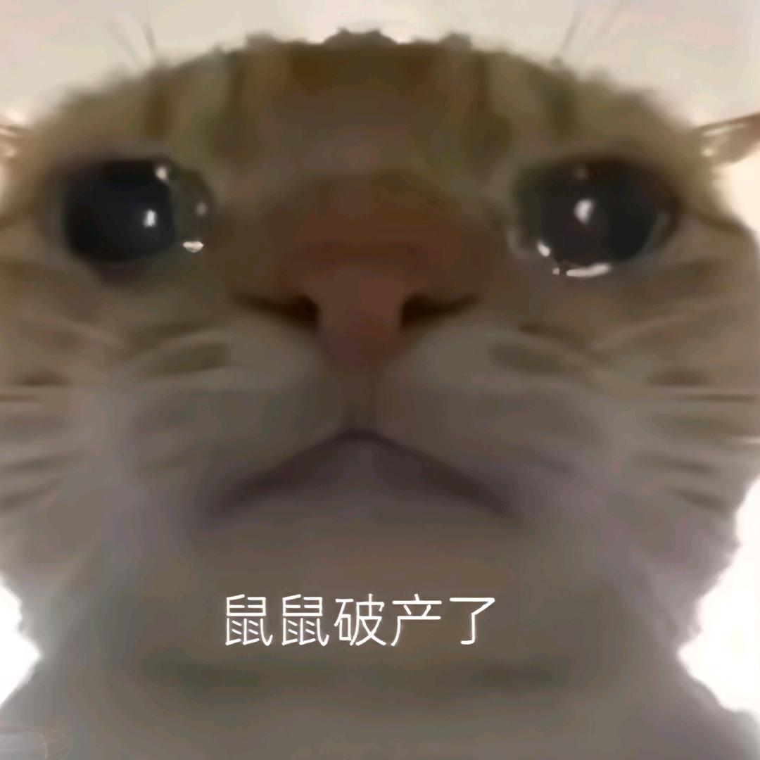 破产鼠小然（三角洲行动）