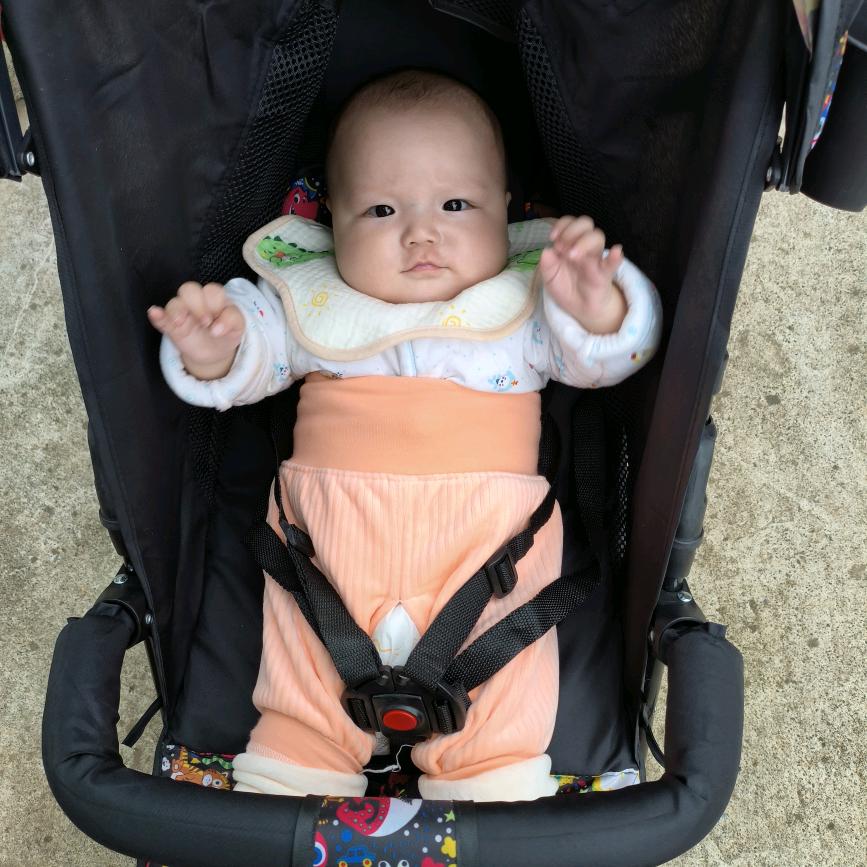 弥