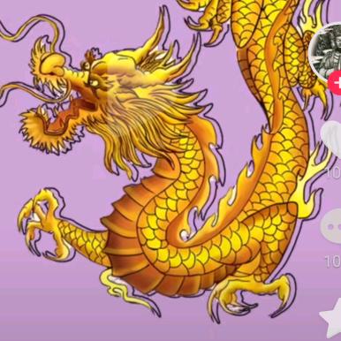 愚善
