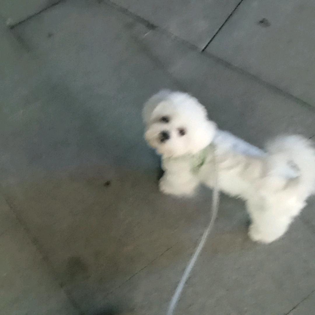 运动会要参加哟。