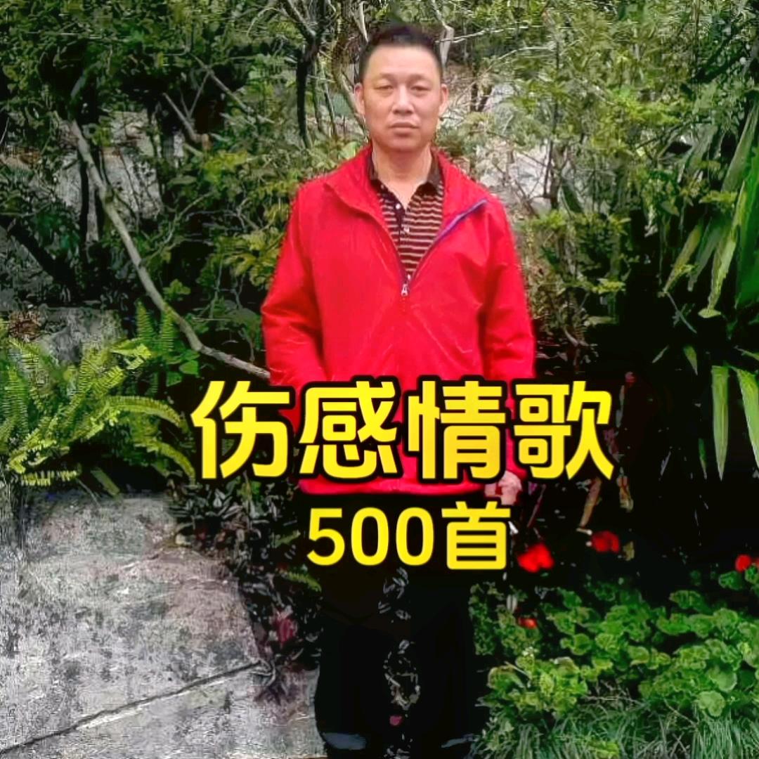 晶晶数码瓷相馆