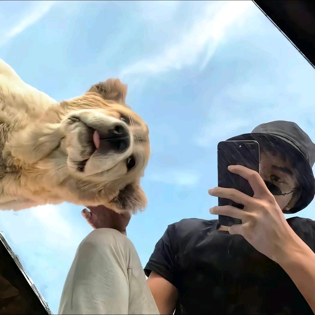 Lxy