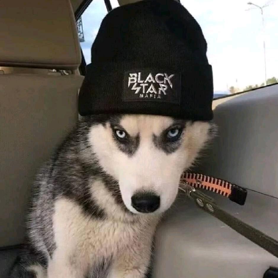 青青草原羊村村霸懒大王