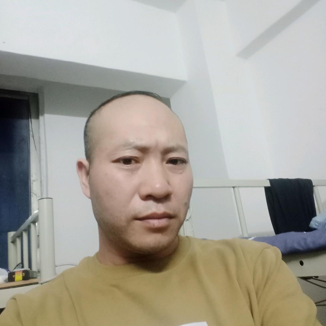 玫瑰朵朵鲜
