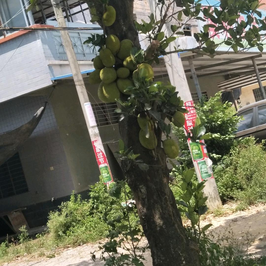 改变生活~改变生活