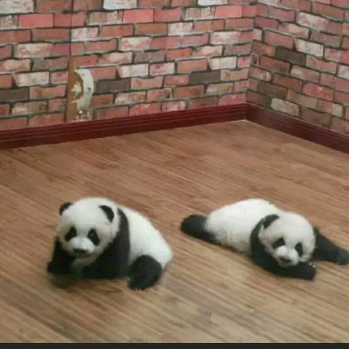 马江