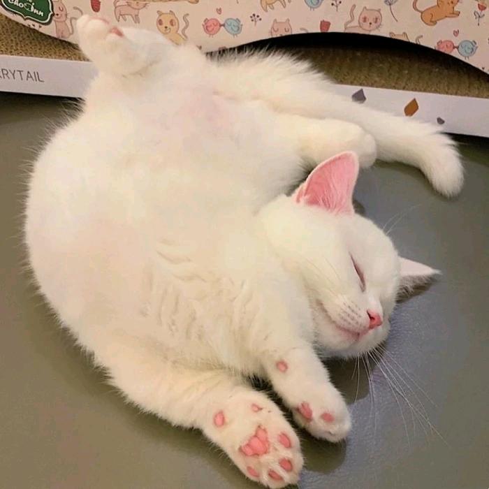 滴