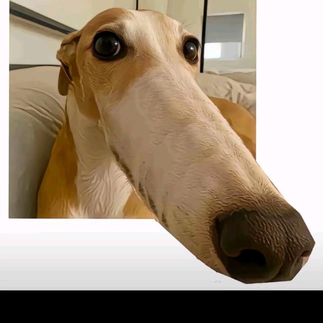 妈妈说起个很长的名字就会有很多憨憨跟着读