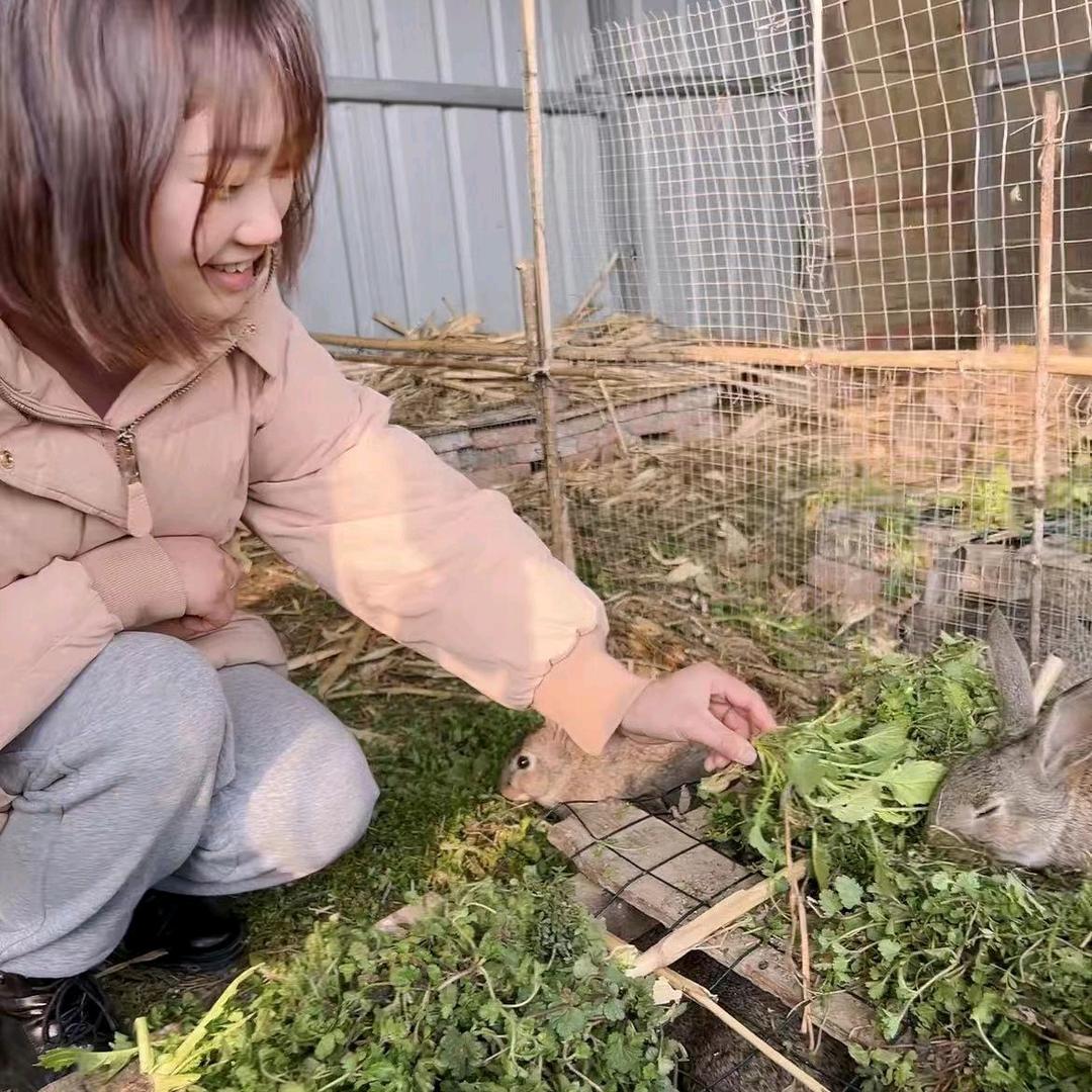散养兔接班人—朱亚婷