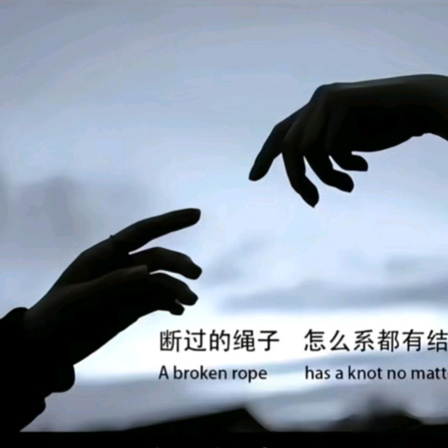 繁华落尽，情以伤🤕